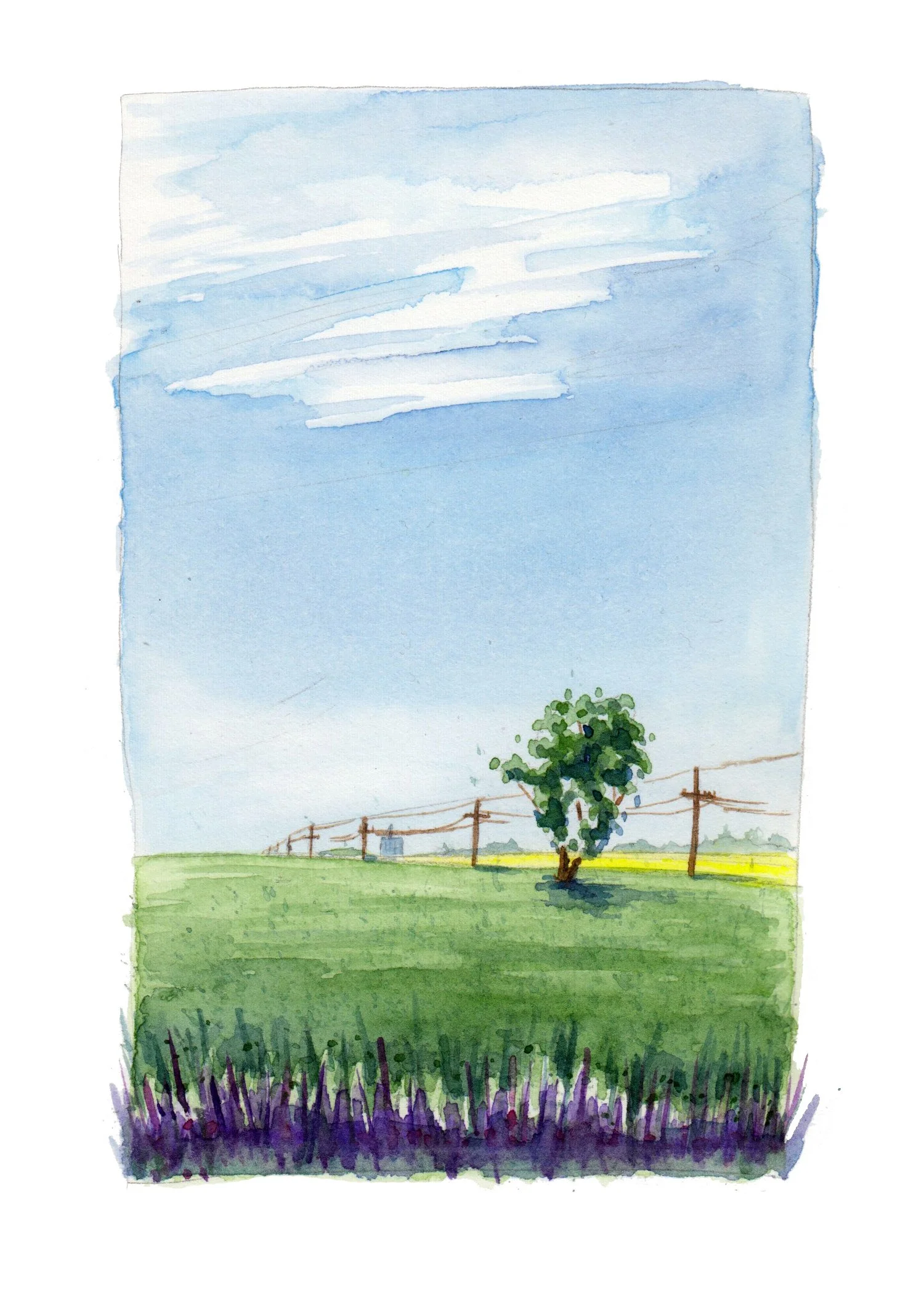 LoneTree01 copy 5 x 7.jpg