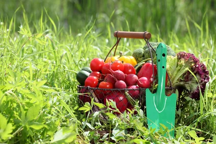 7 RAISONS DE MANGER BIO