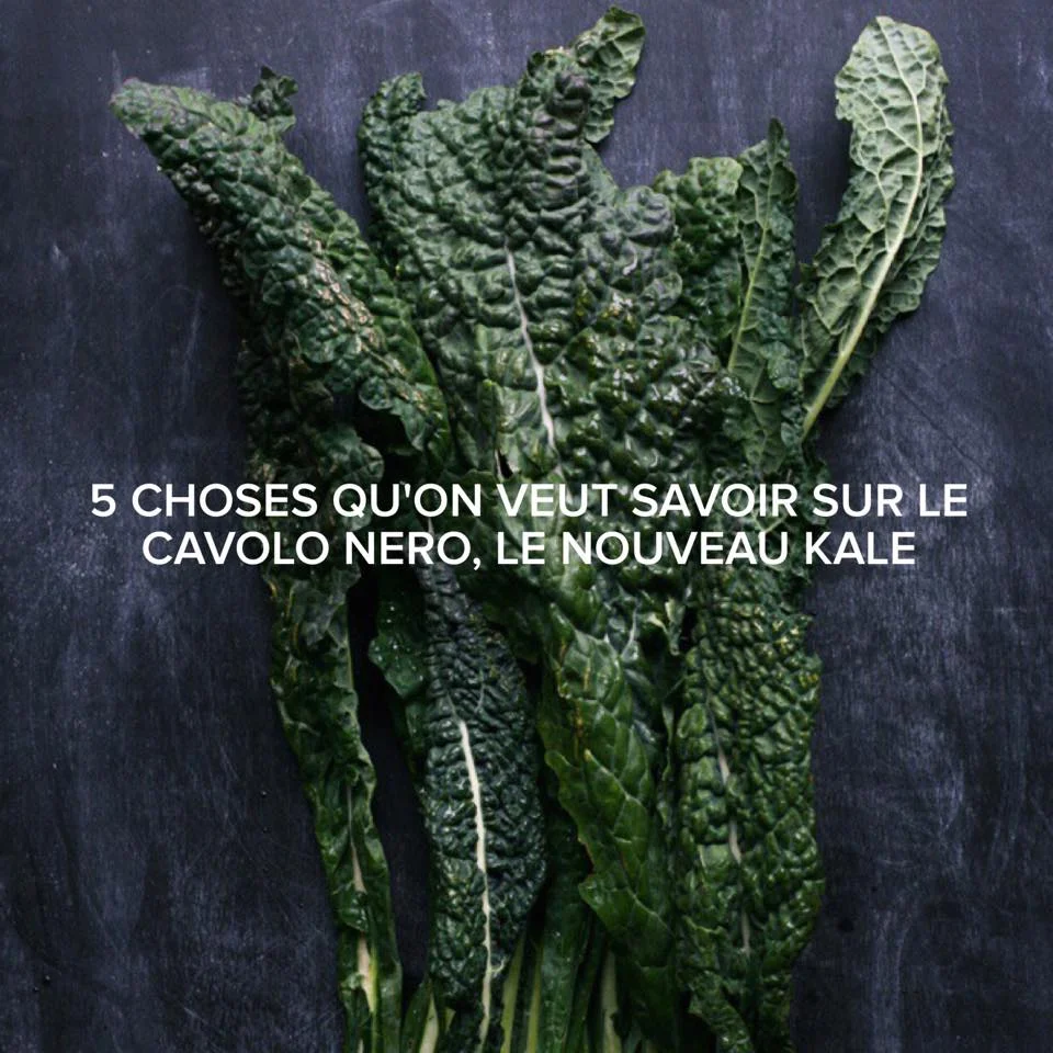 5 CHOSES A SAVOIR SUR LE CAVOLO NERO, LE NOUVEAU KALE