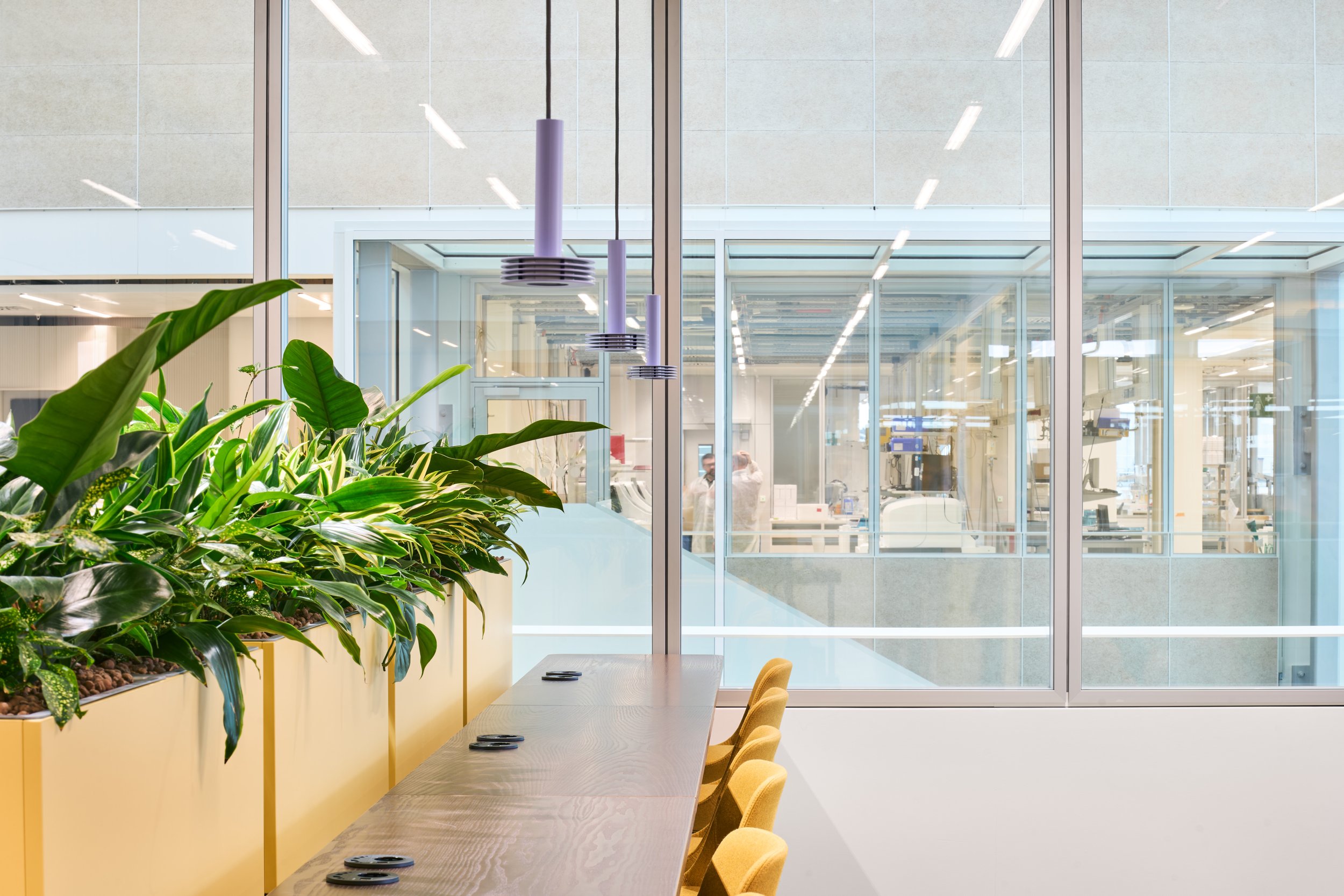 ROCHE - Diagnostik-Innovationszentrum 5.jpg