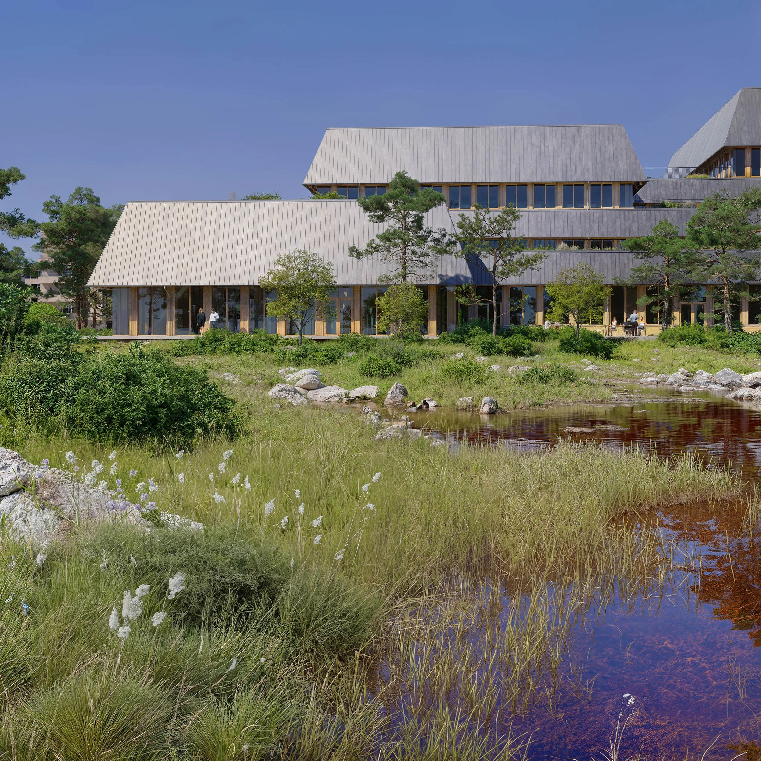 Novo Nordisk Foundation Headquarters Biodiverse Holistic Architecture novo-nordisk-foundation-headquarters-biodiverse-holistic-architecture