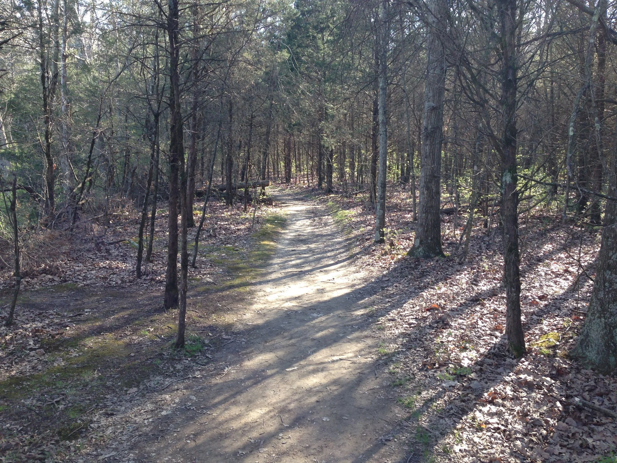 Flat Fork landscape, Massie Township, Ohio