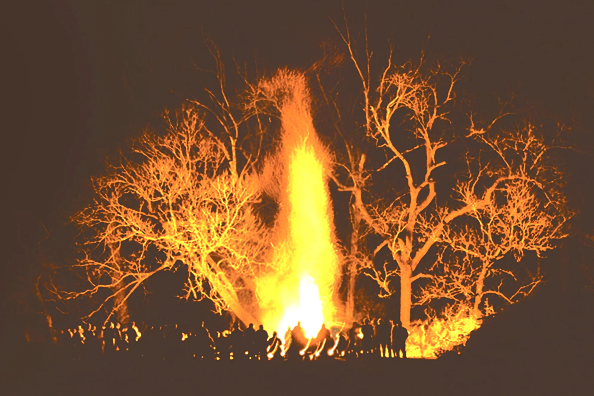 Bonfire+Photo.jpg