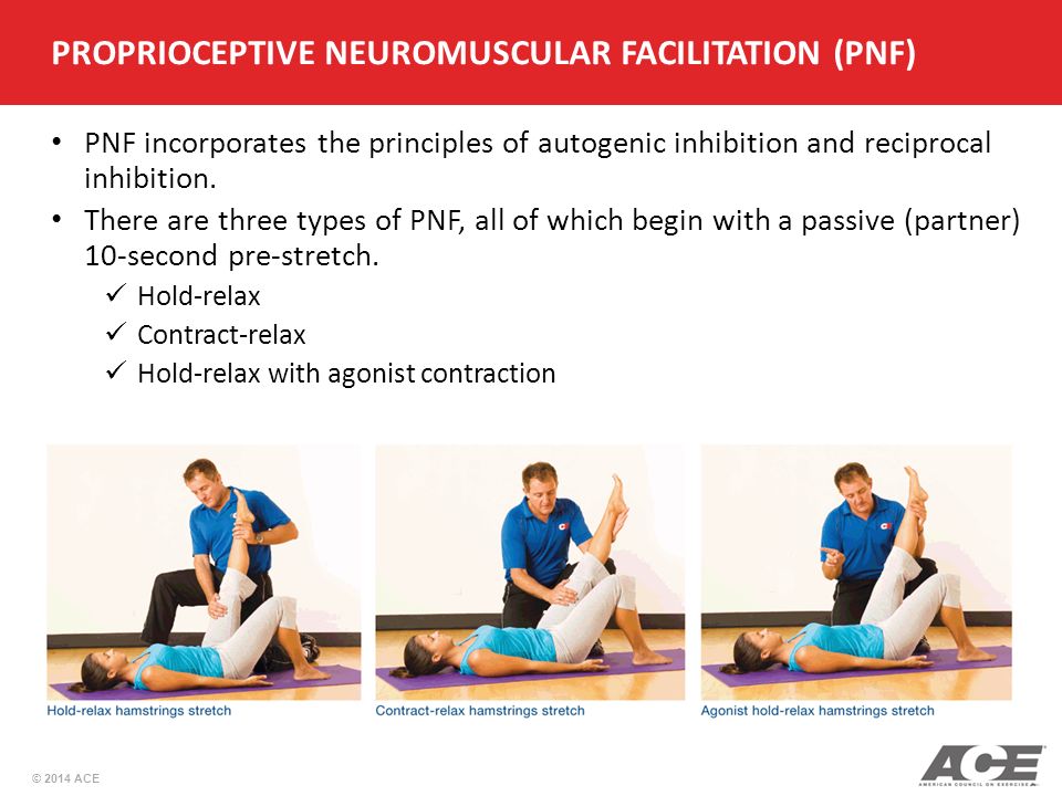 https://2.bp.blogspot.com/-EtUq1dgRBWw/Wr87tzplG1I/AAAAAAAAA7c/PDCq8Hte5rwvwAilPLL1-qYAiisEvILHwCLcBGAs/s1600/PROPRIOCEPTIVE%252BNEUROMUSCULAR%252BFACILITATION%252B%2528PNF%2529.jpg