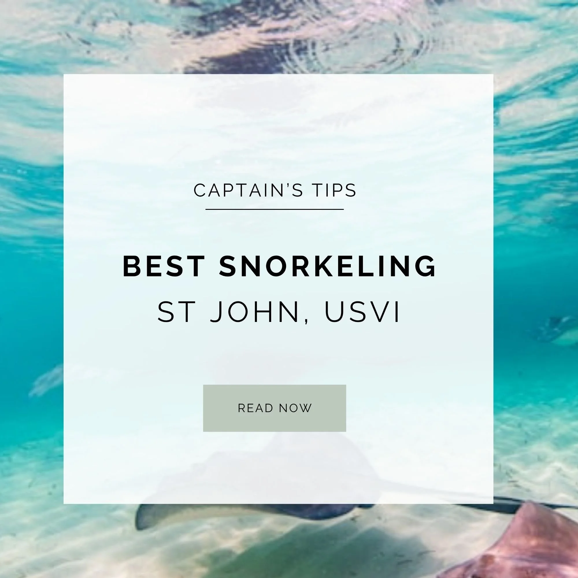 Best Snorkeling St John US Virgin Islands