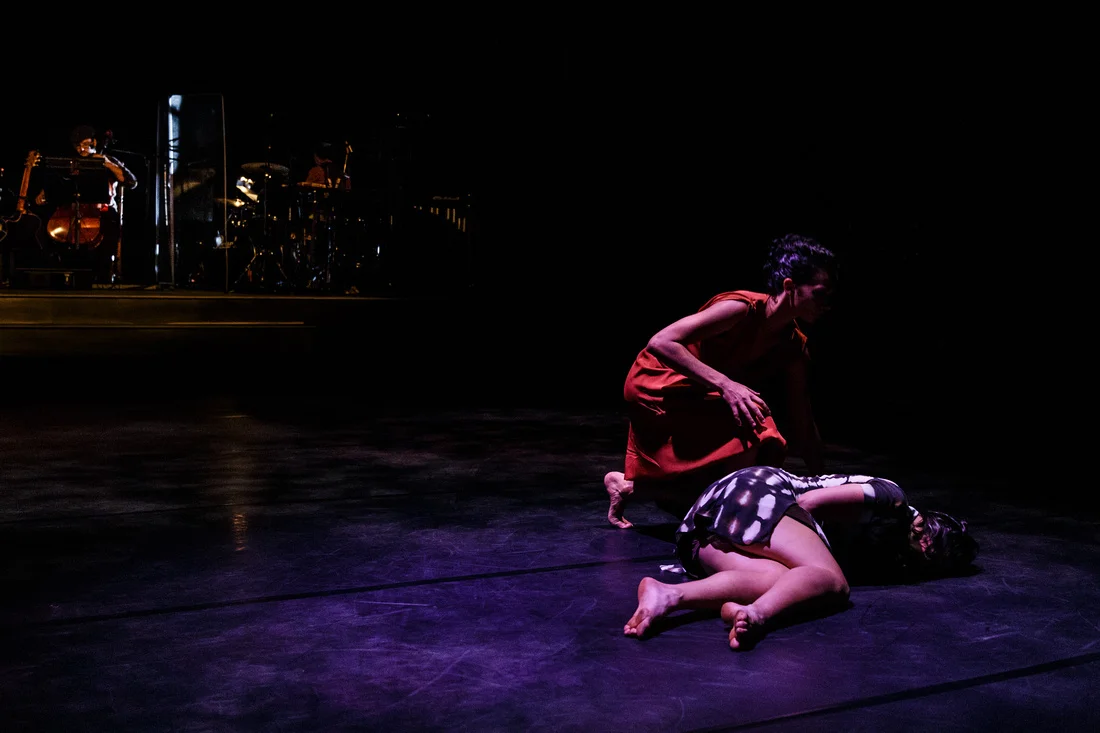 p1182329585-5.jpg
