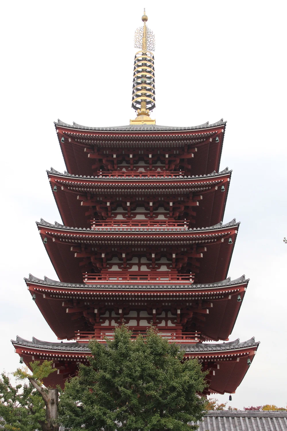 remembering_tim_tokyo13.jpg