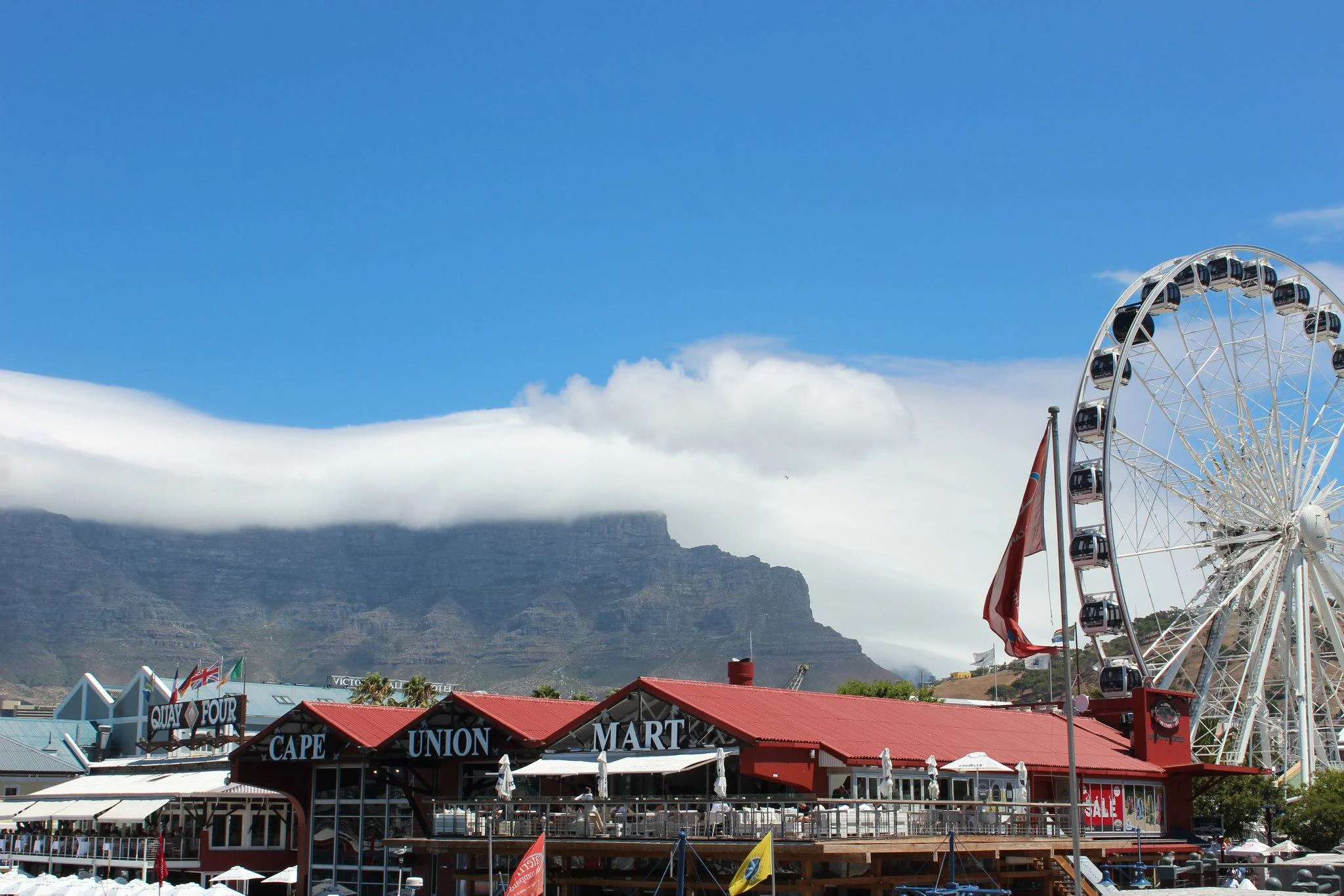 remembering_tim_capetown11.jpg
