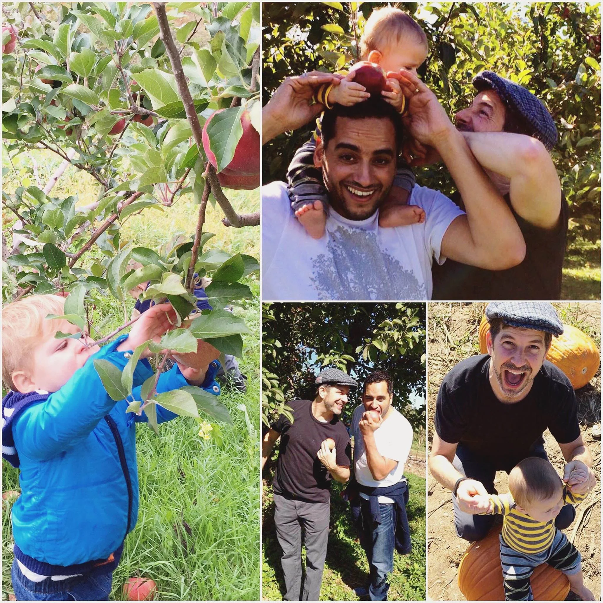 #throwbackthursday - This weekend we had gone apple/pumpkin picking with friends. A bittersweet experience as the last time we did this was with Tim --one of our last family adventures (before our last road trip to MA and Thanksgiving) before he passed away. With his 50th coming up next week, he's been on my mind more than usual. you are missed by so many. #rememberingtim — with Tim Merrell .
