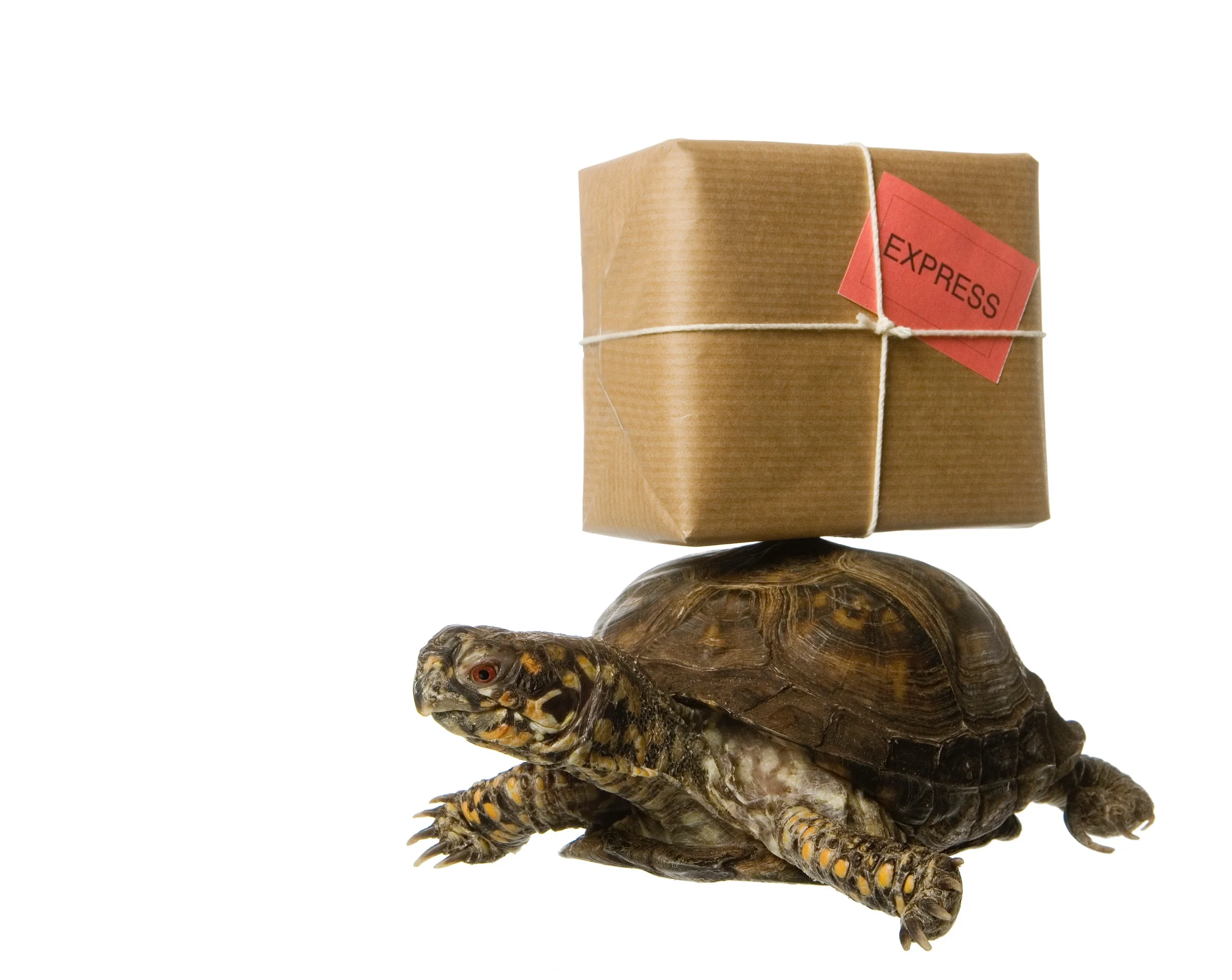 Change-Management: Endlich wirkungsvoll umsetzen