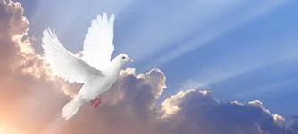 The Tug of the Holy Spirit