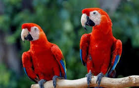 There were Two Survivors of Calvary not One