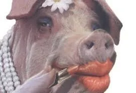 Don't be fooled by the Lipstick on a Pig