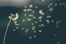 The Brevity of Life Proves the Mercy of God