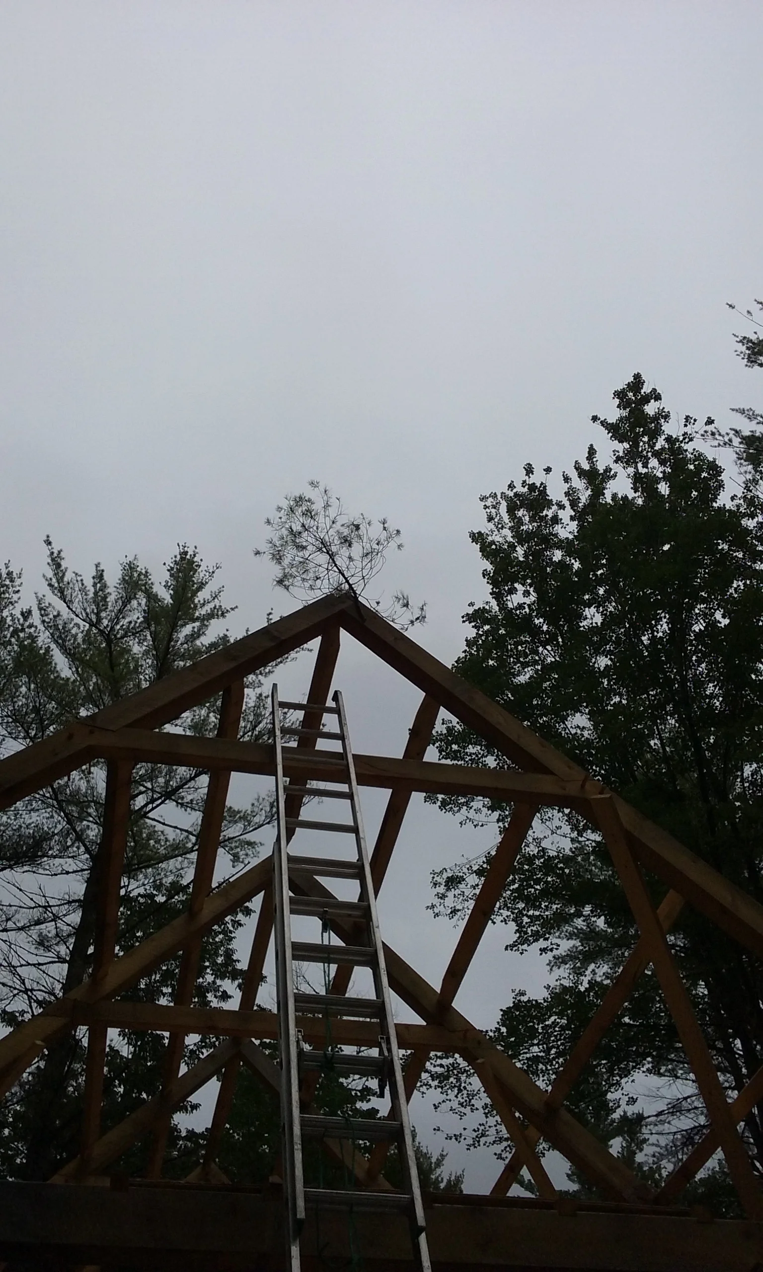 20150718_144644.jpg