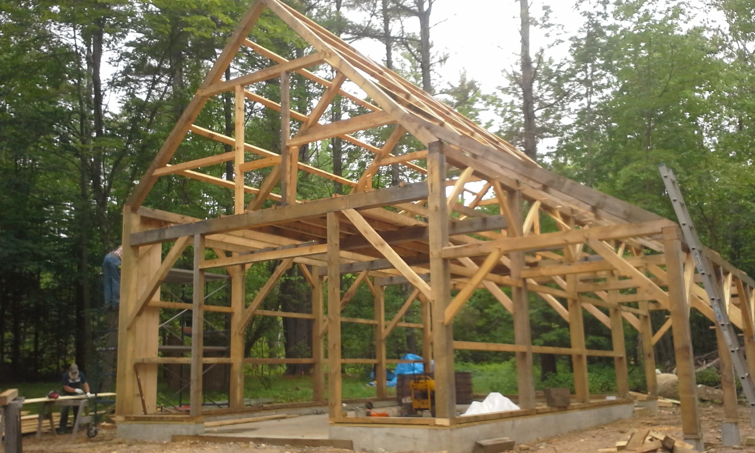 20150725_090010.jpg
