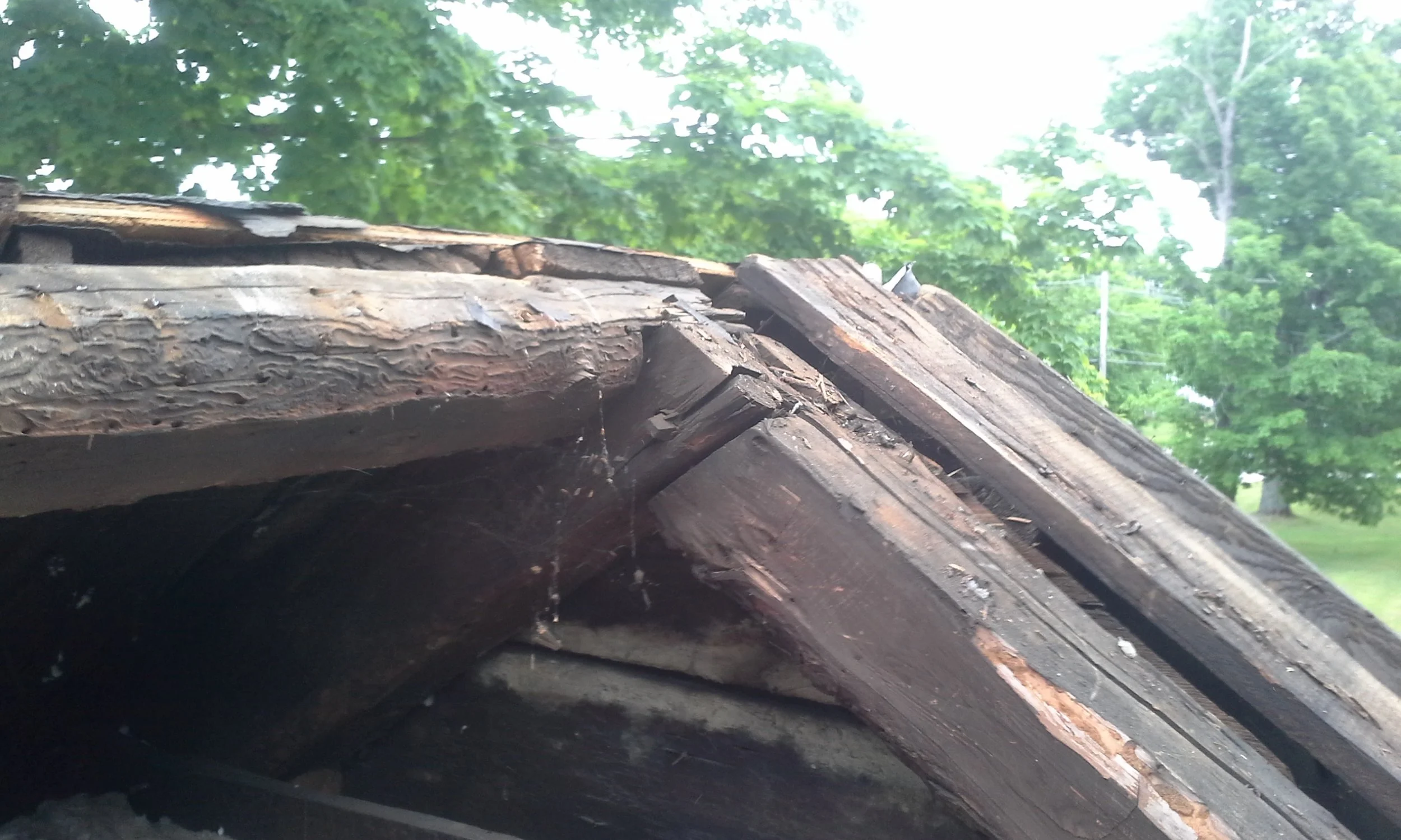 20160611_102221.jpg