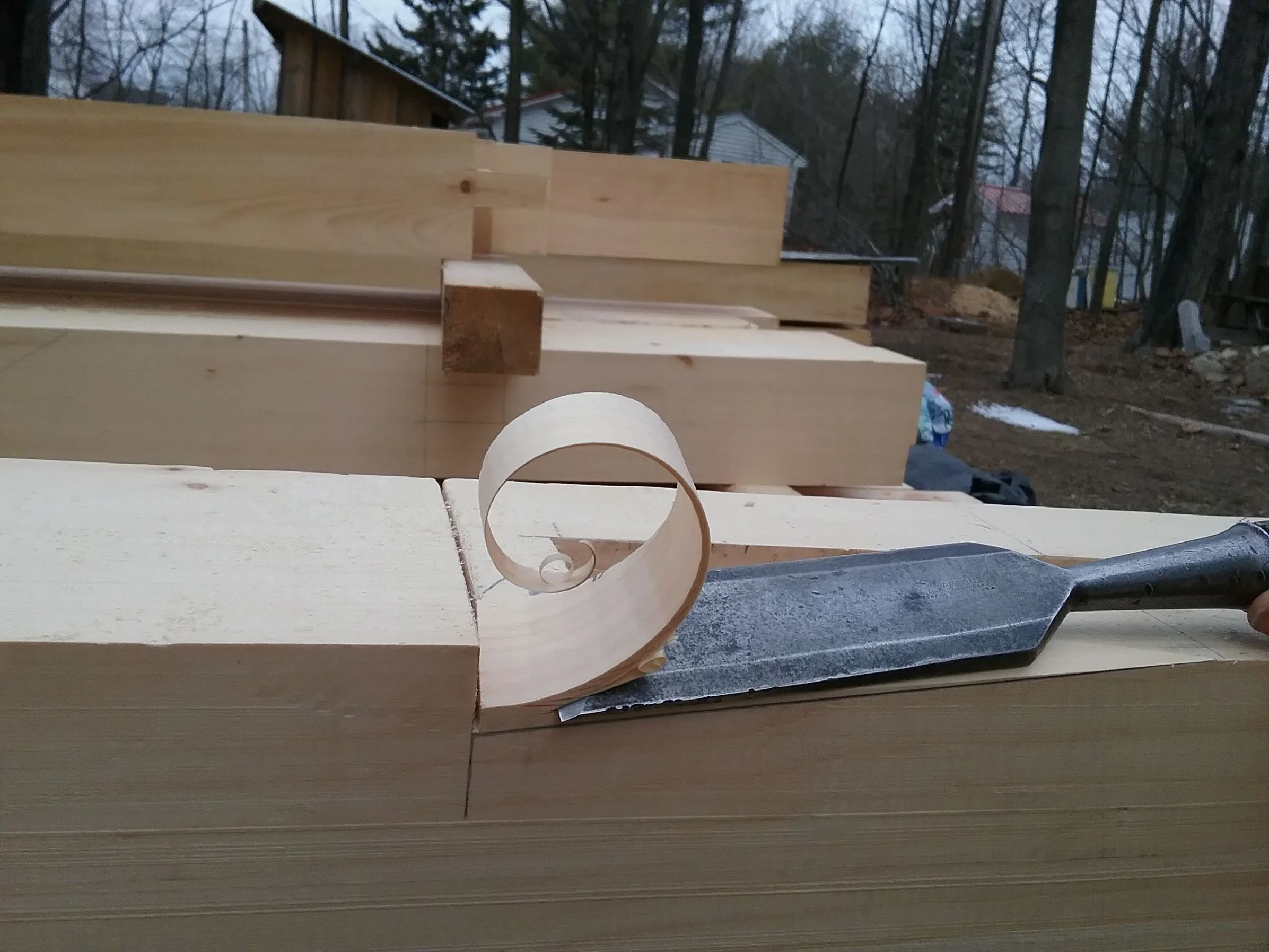20180307_074338.jpg