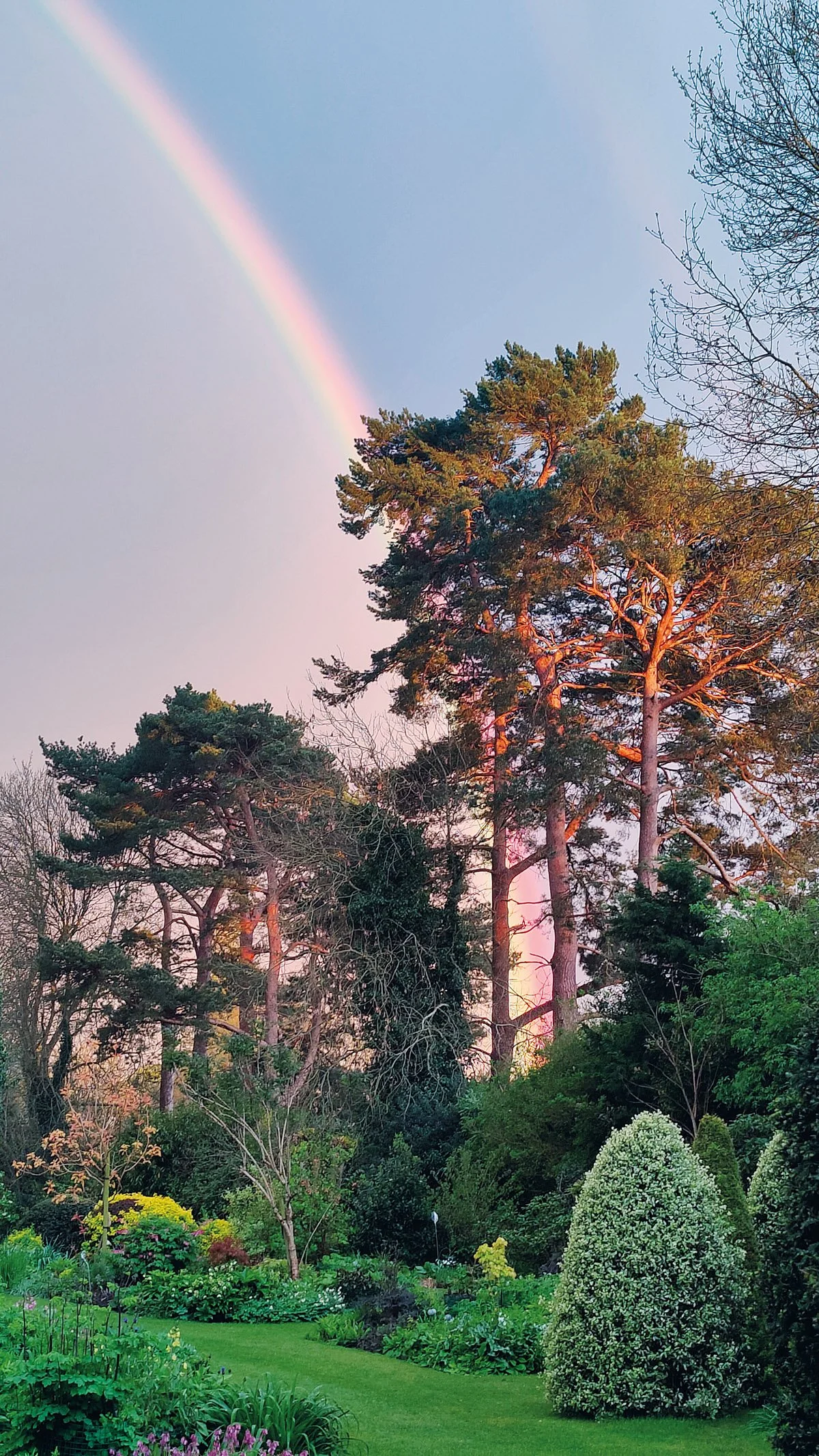 Dan Stockwell Lindfield amazing rainbow 1 Denmans Lane.jpg