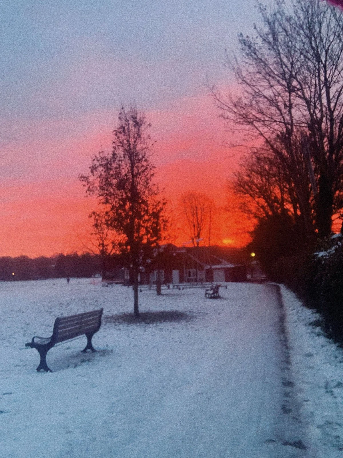 Lindfield Common snow Elspeth McPherson.jpg