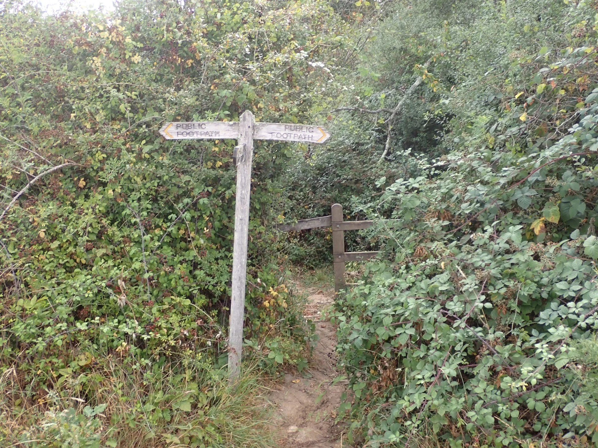 Picture 1.jpg
