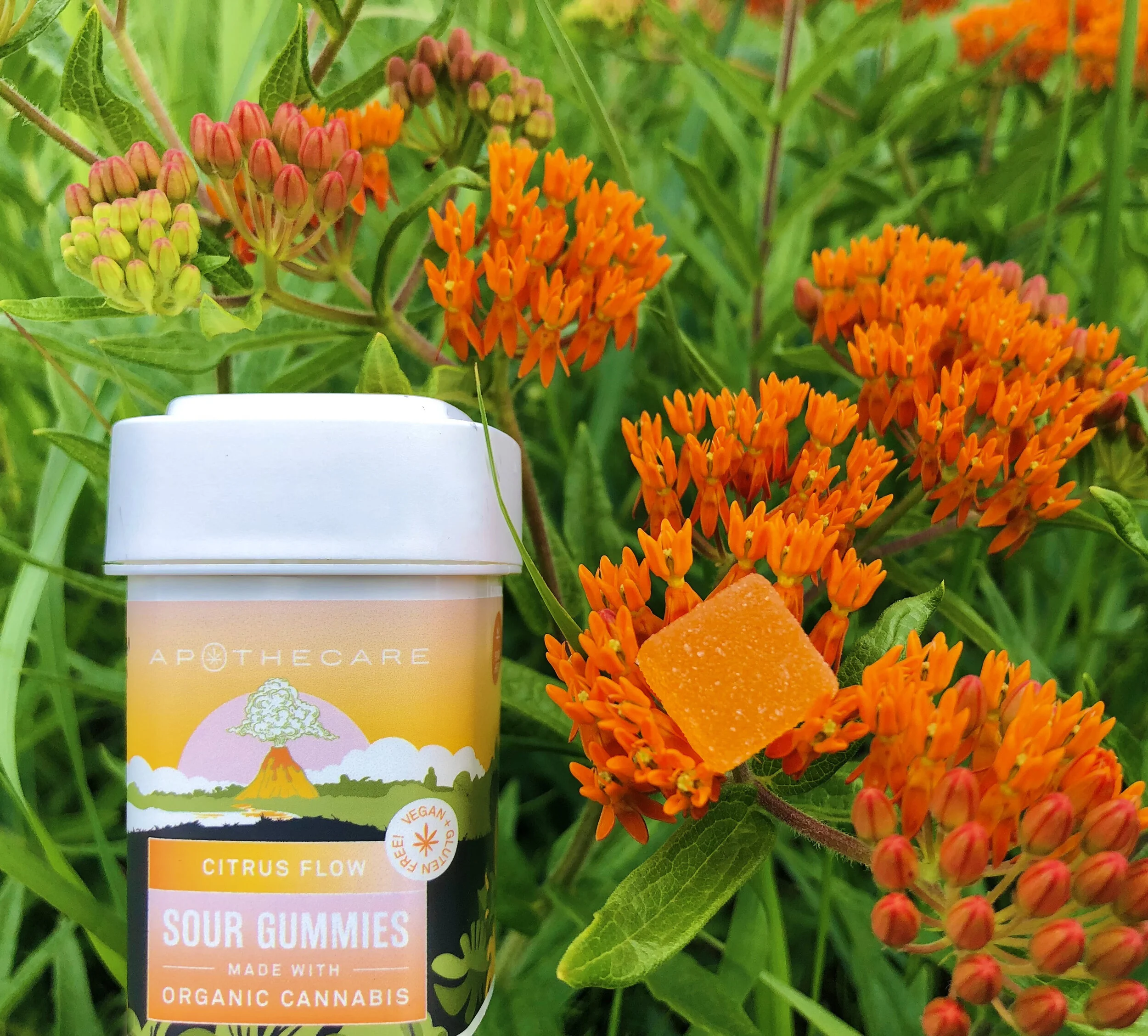 Citrus_Flow_Flowers_01.jpg