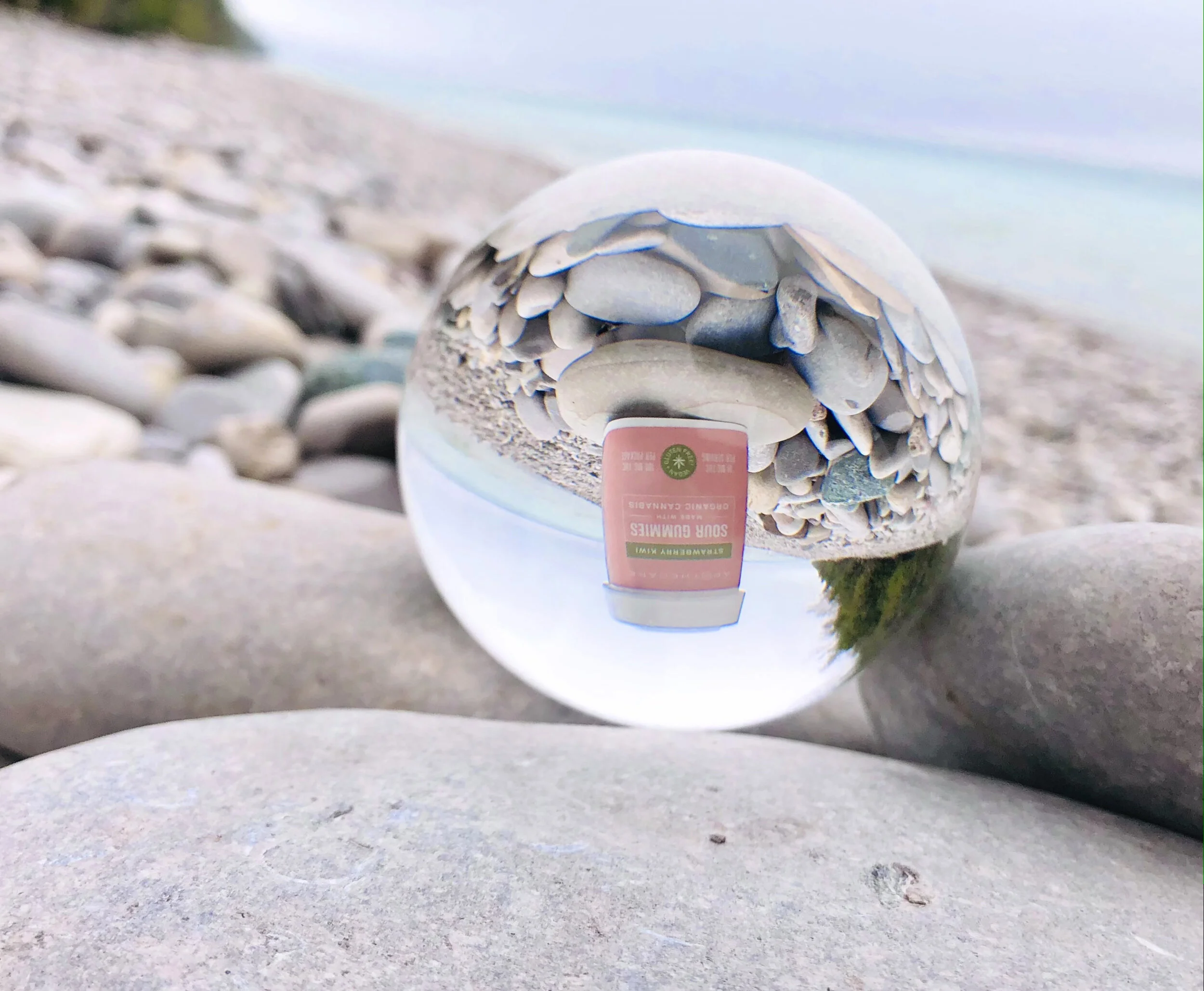 Strawberry_Perspective_Beach_01.JPG