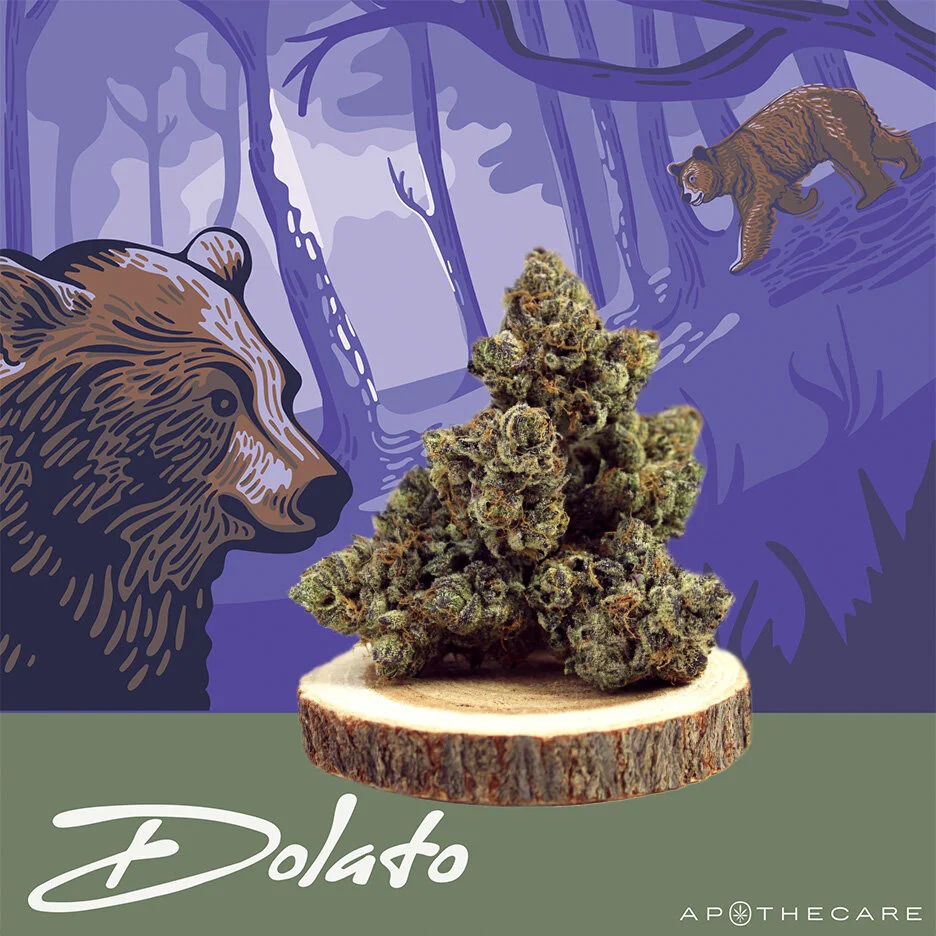 Dolato.jpg
