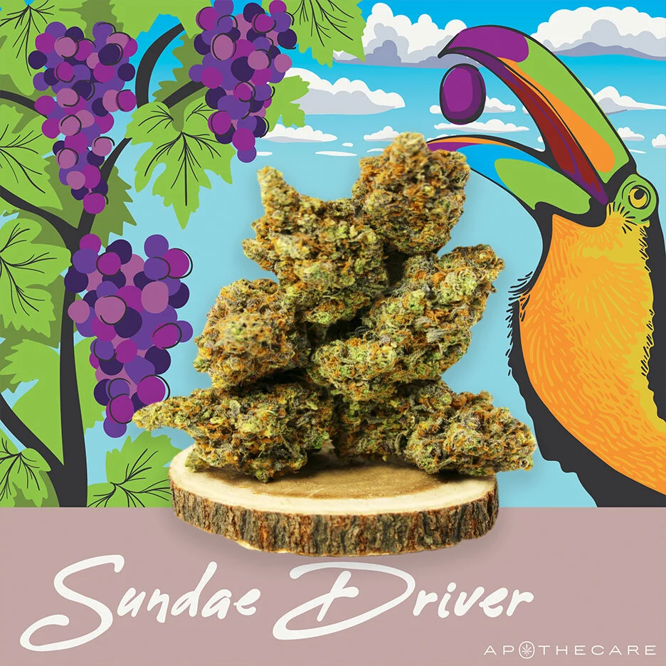 Sundae_Driver.jpg
