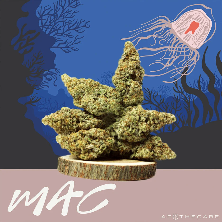 MAC.jpg