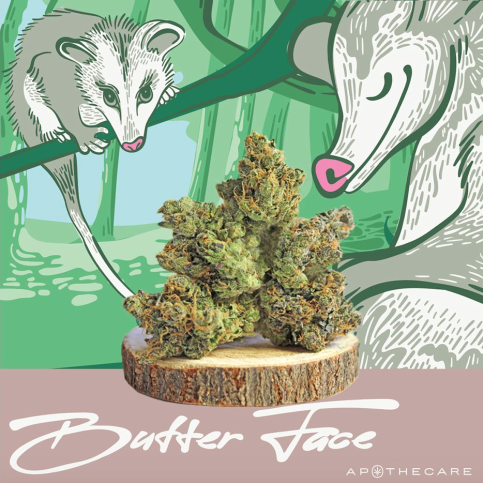 Screen Shot 2021-09-08 at 3.26.14 PM.png