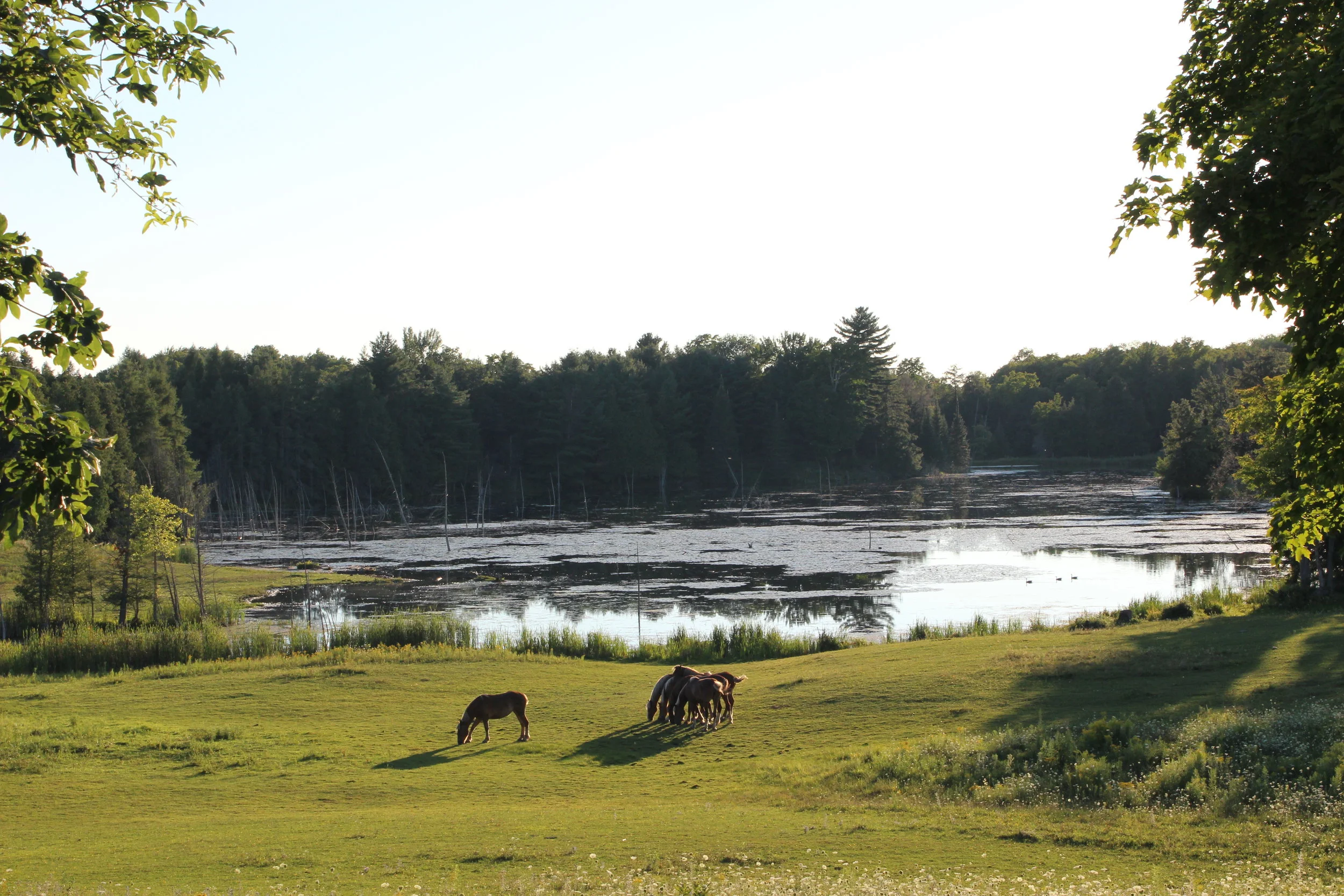 Kawartha Lakes, Ontario