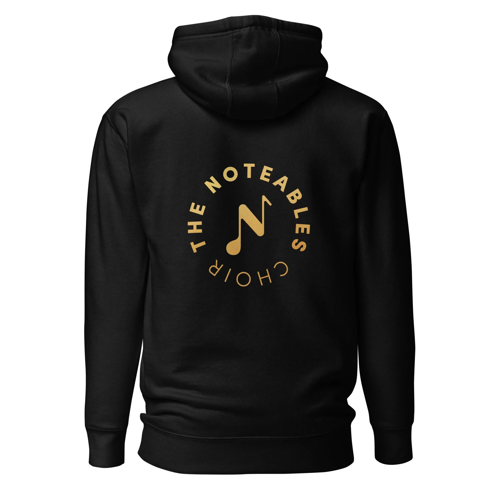 cotton-heritage-m2580-i-unisex-premium-pullover-hoodie-black-back-693ad7355a4ea.jpg