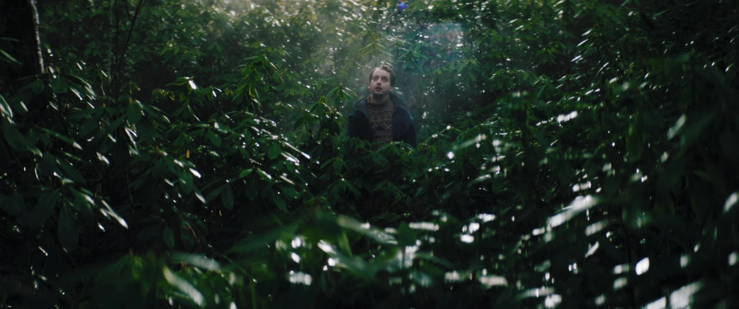 Narrative Cinematography Reel | 2021