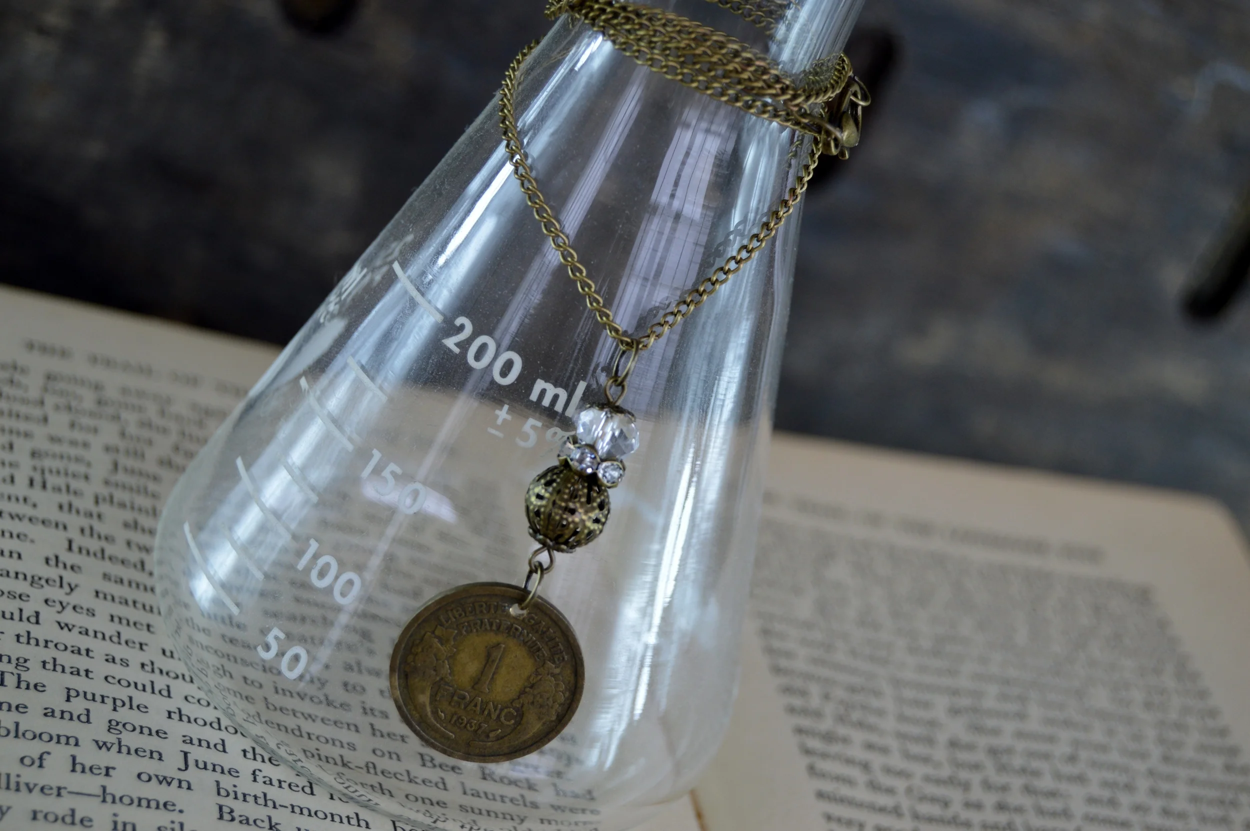 1 Franc Coin Necklace