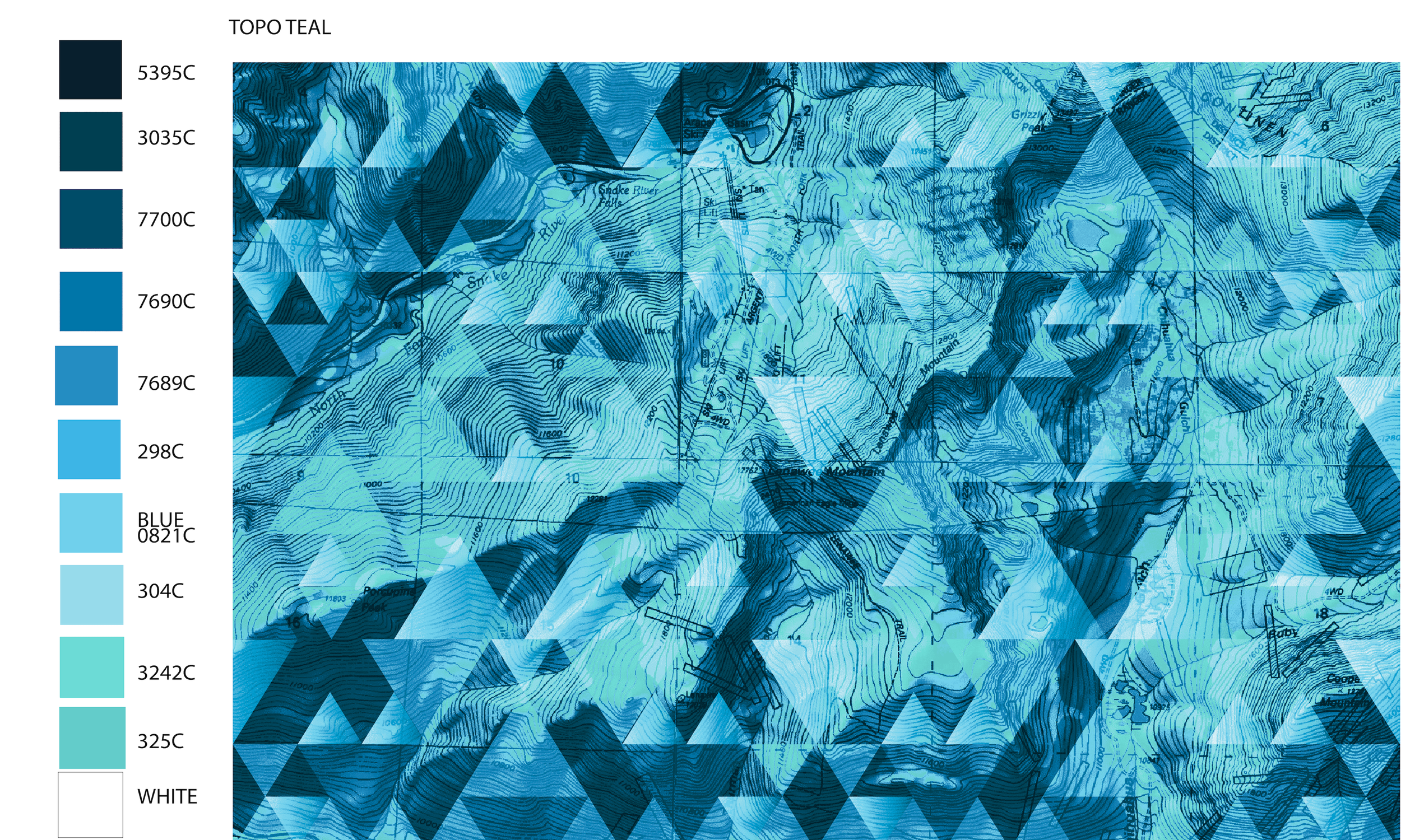 TOPO TEAL LAYOUT.png