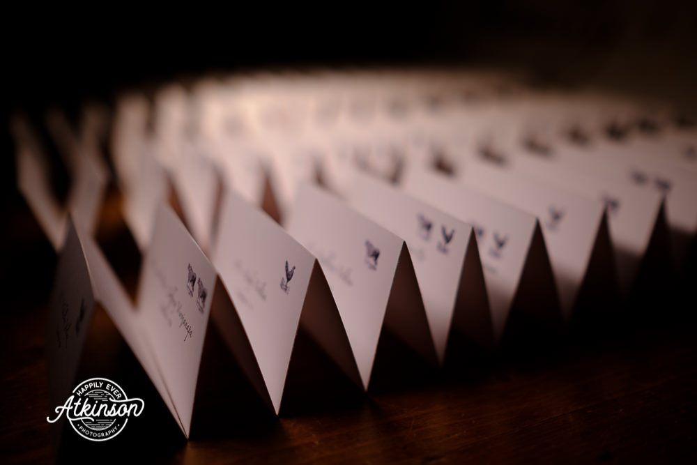 Table Cards with Animals