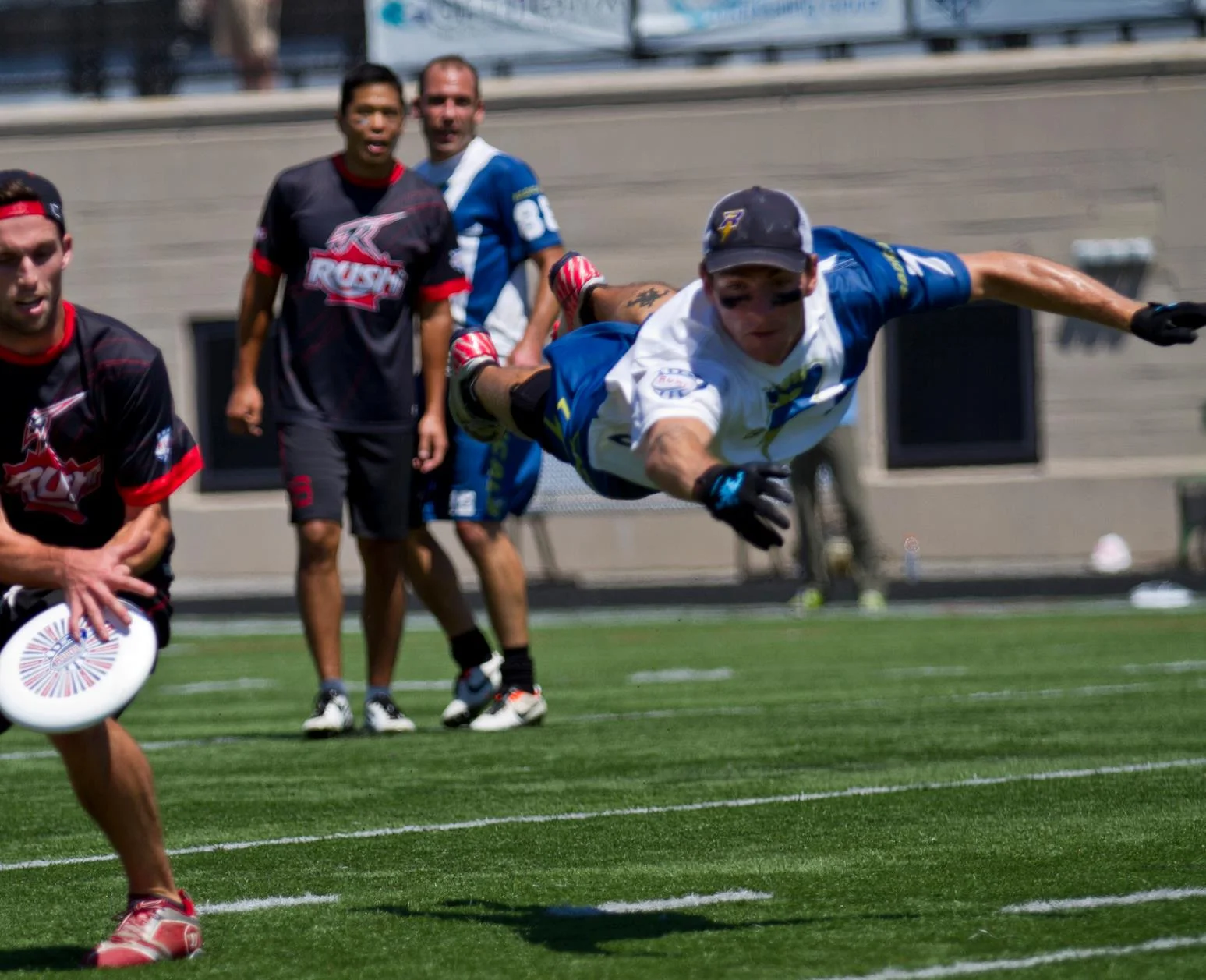 Tom-Fly.jpg