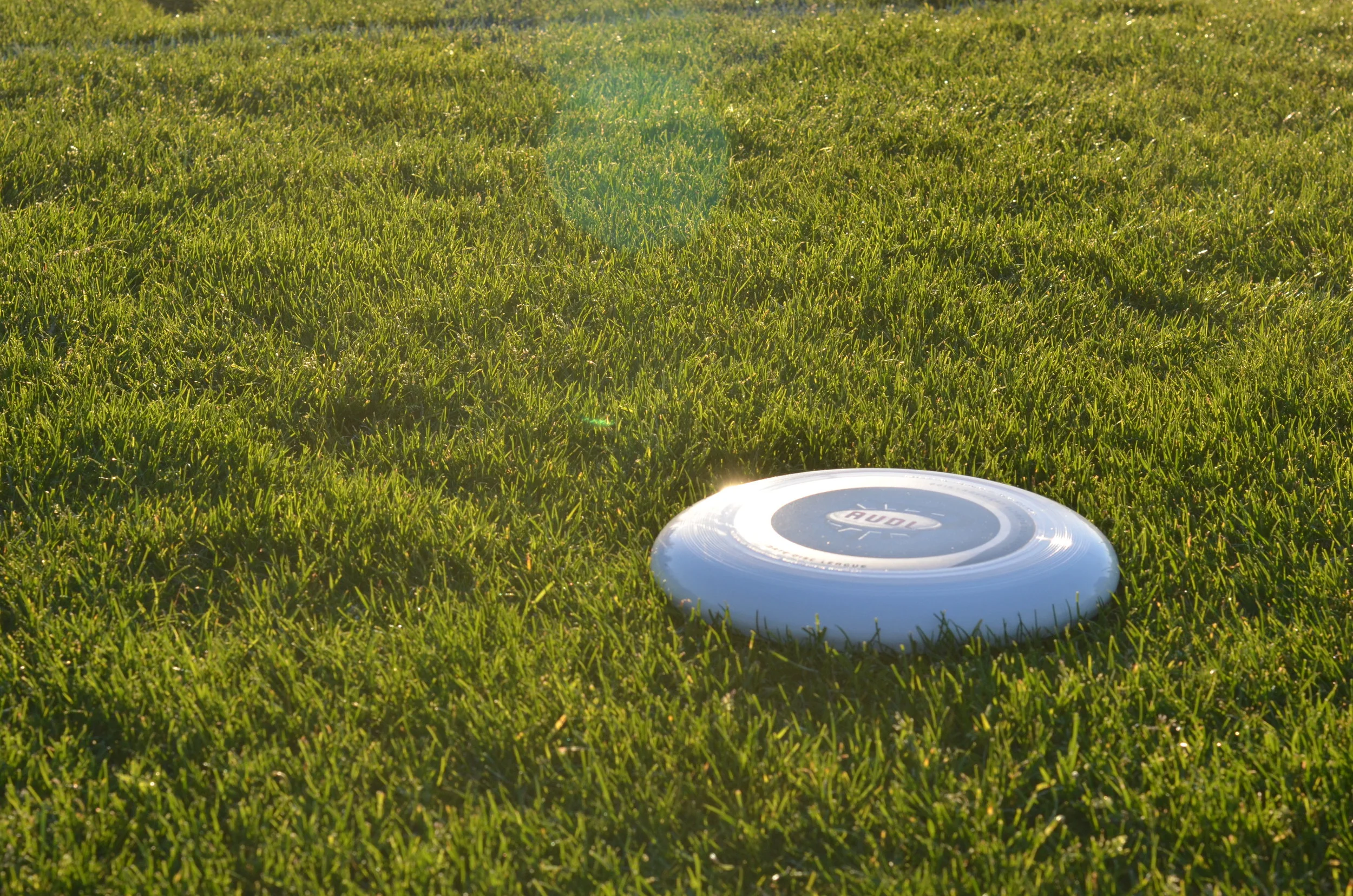audl_Disc.jpg