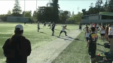 480x270.gif.1988013c14ce40f082eda9f3cad61b92.large.gif