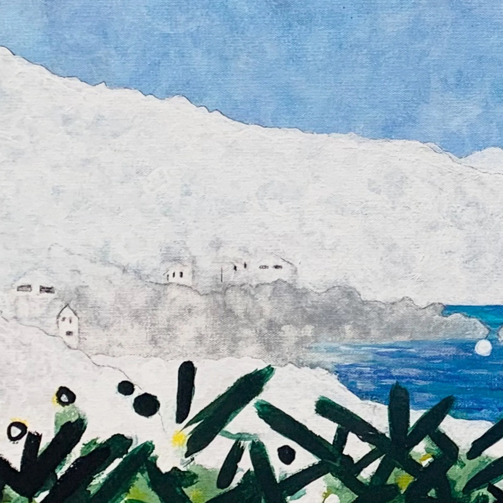 barbados.close.up. copy 2.jpg