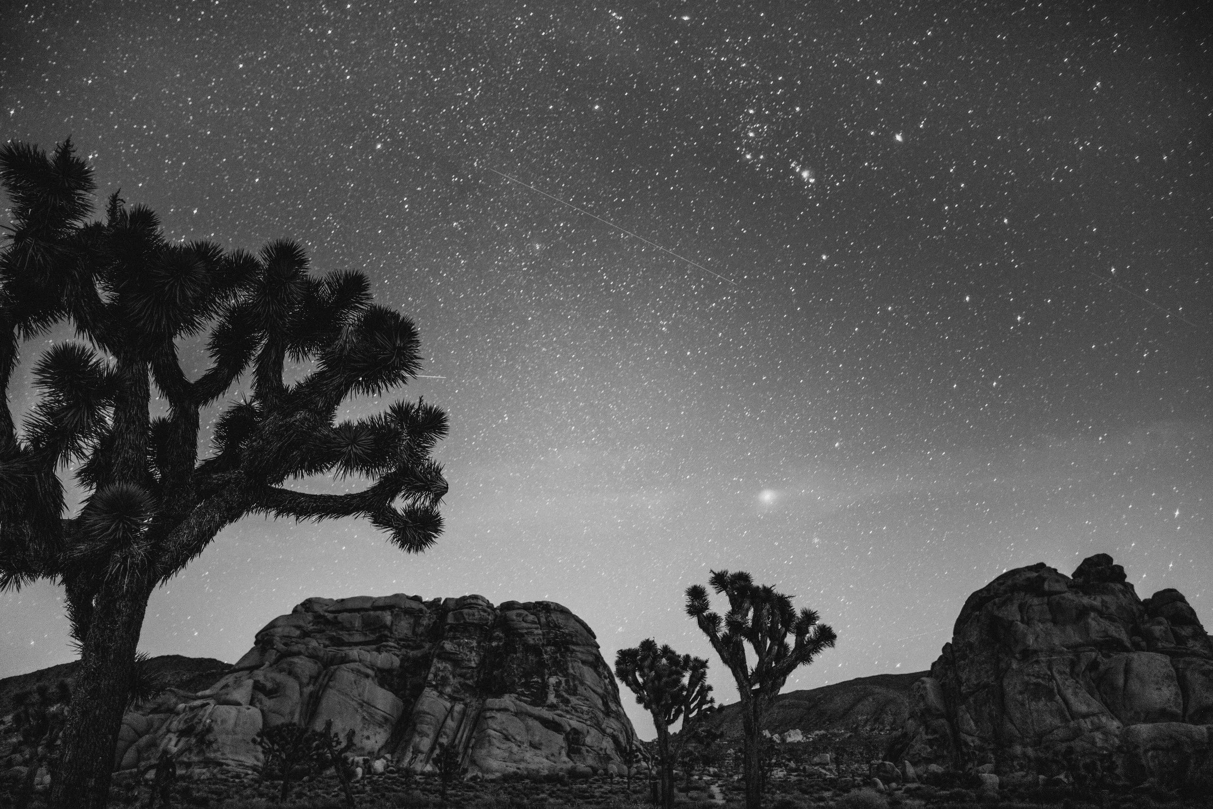 01/28/16 - JOSHUA TREE NATIONAL PARK, CALIFORNIA, U.S.A.