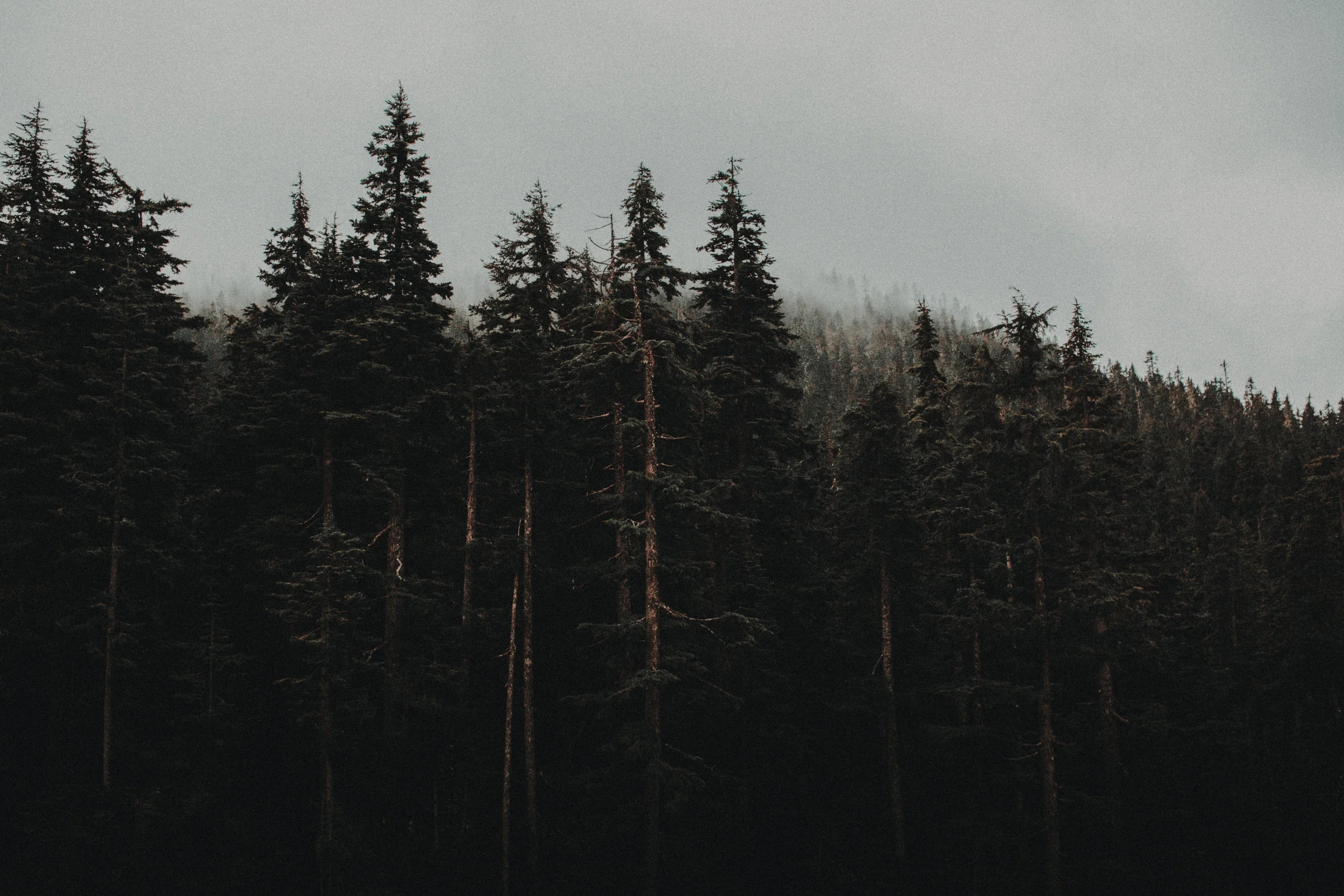 04/15/16 - BRITISH COLUMBIA, CANADA