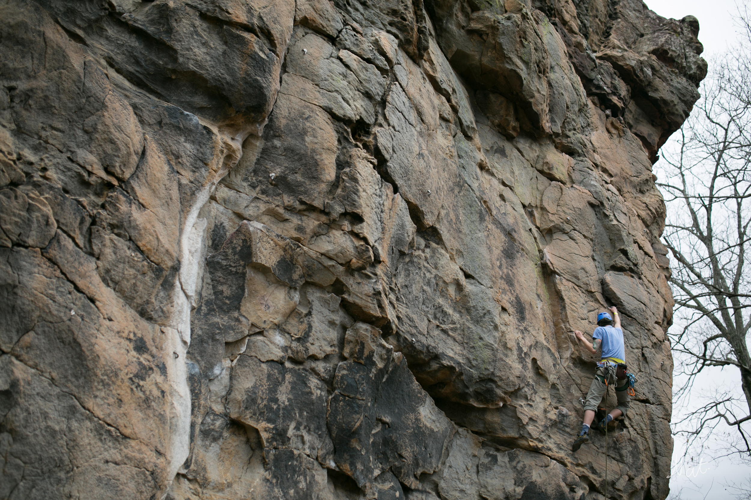 Joshua with his amazing climbing skill