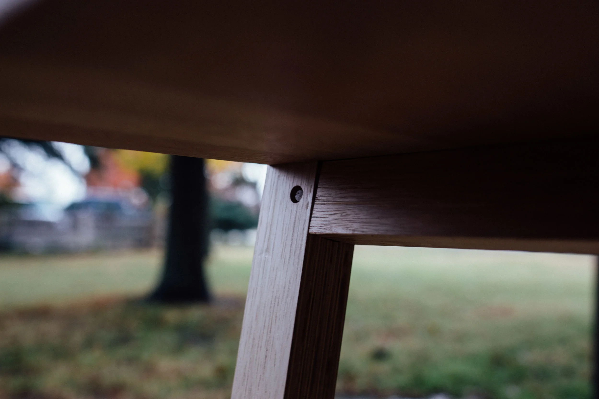 A Detail Shot