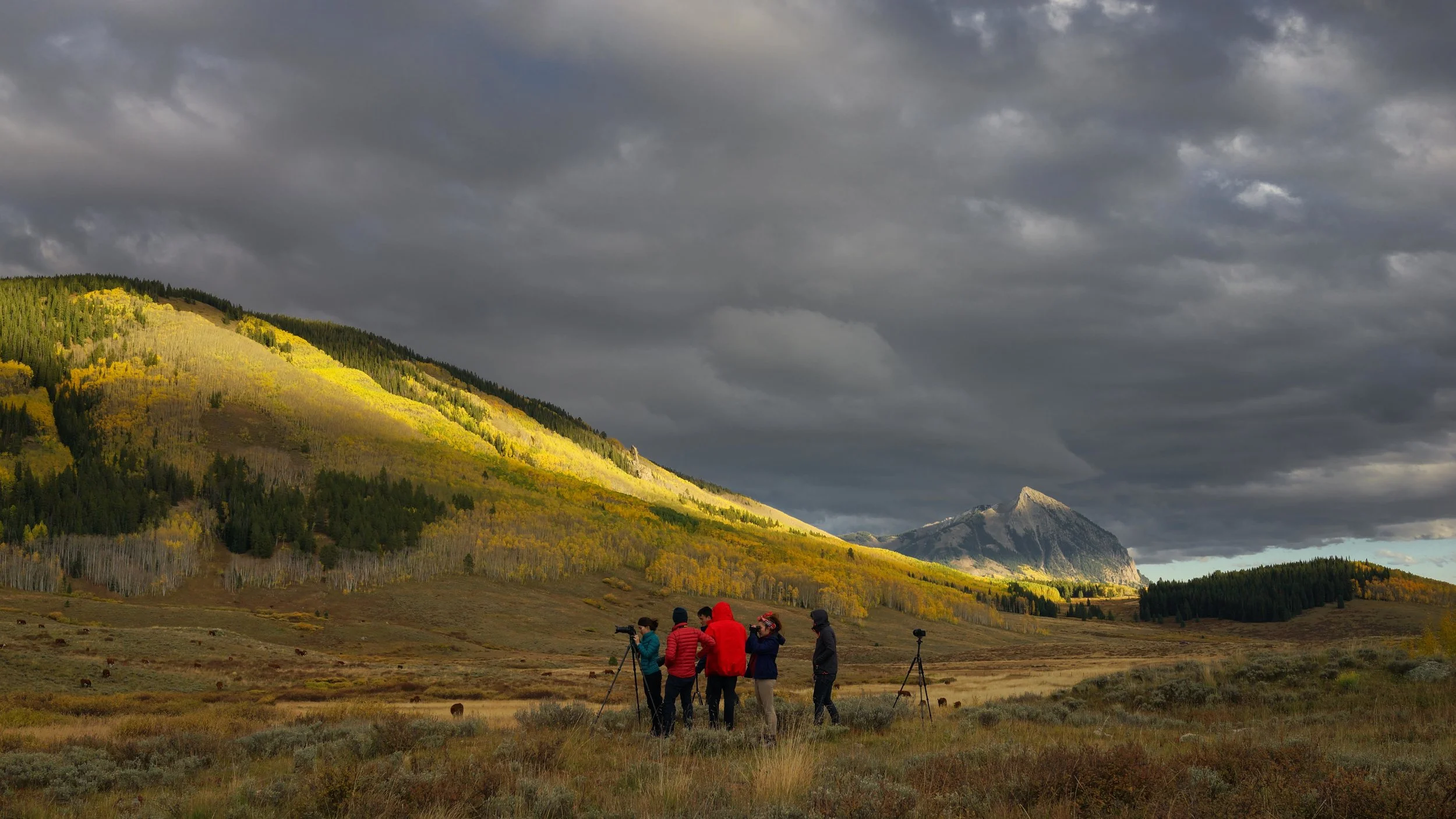 chittamaiDSC09150.jpg