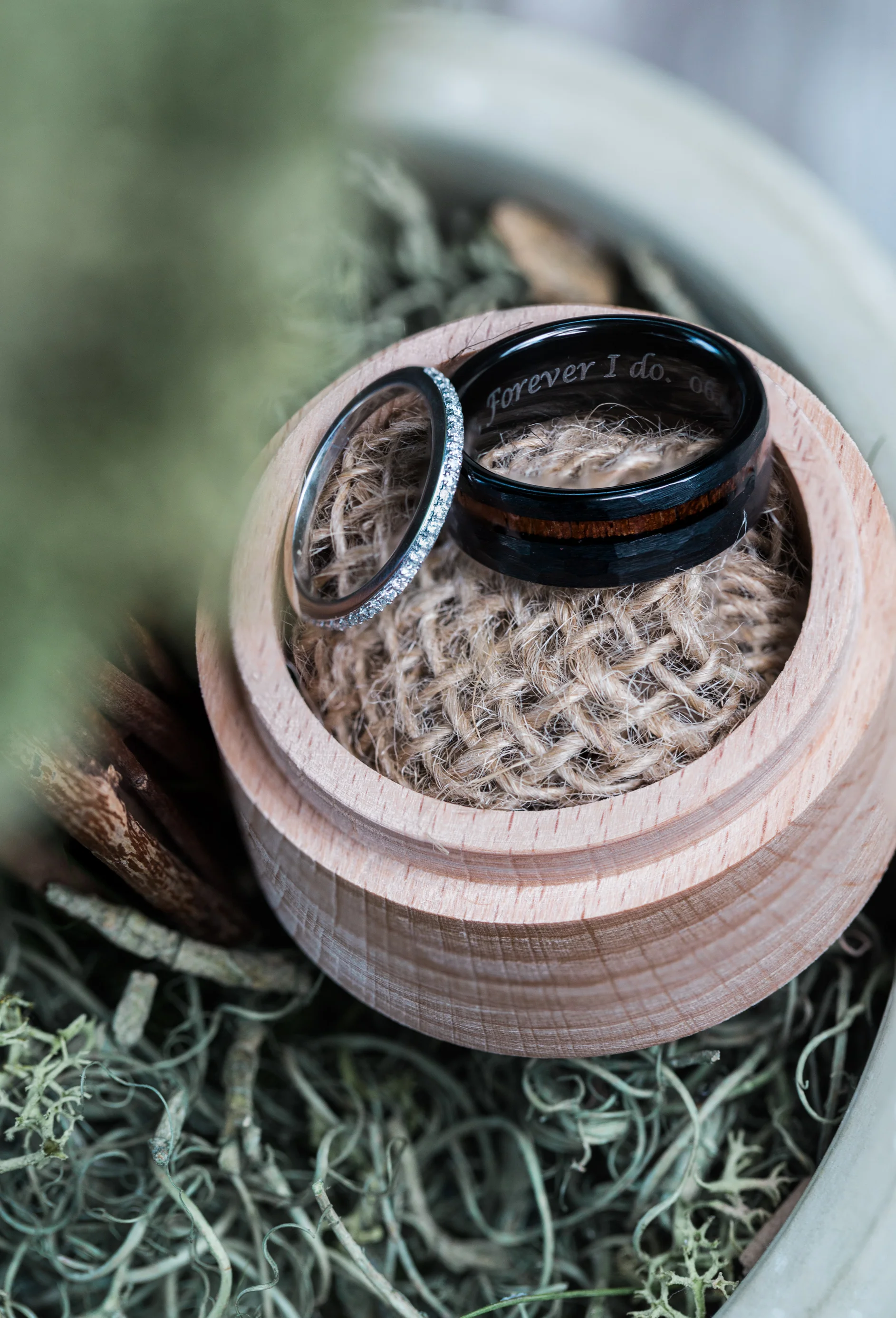 natphotography0I3A9181-Edit.jpg