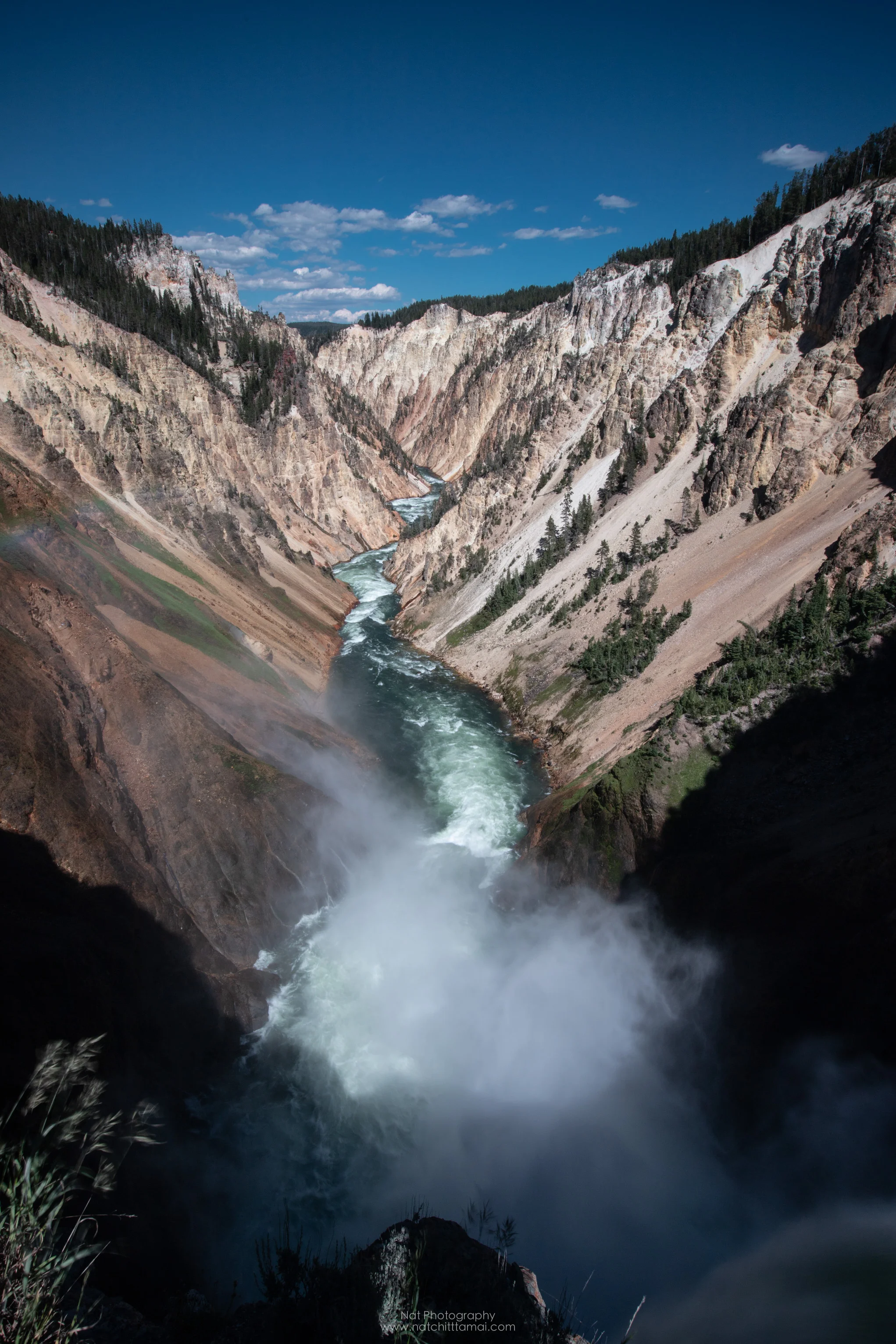 Brink of the Lower Falls
