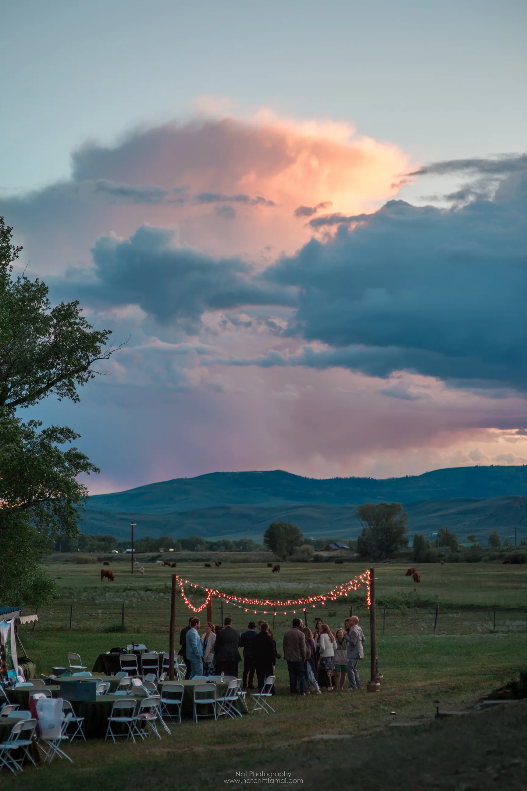 natphotography0I3A9233-HDR.jpg