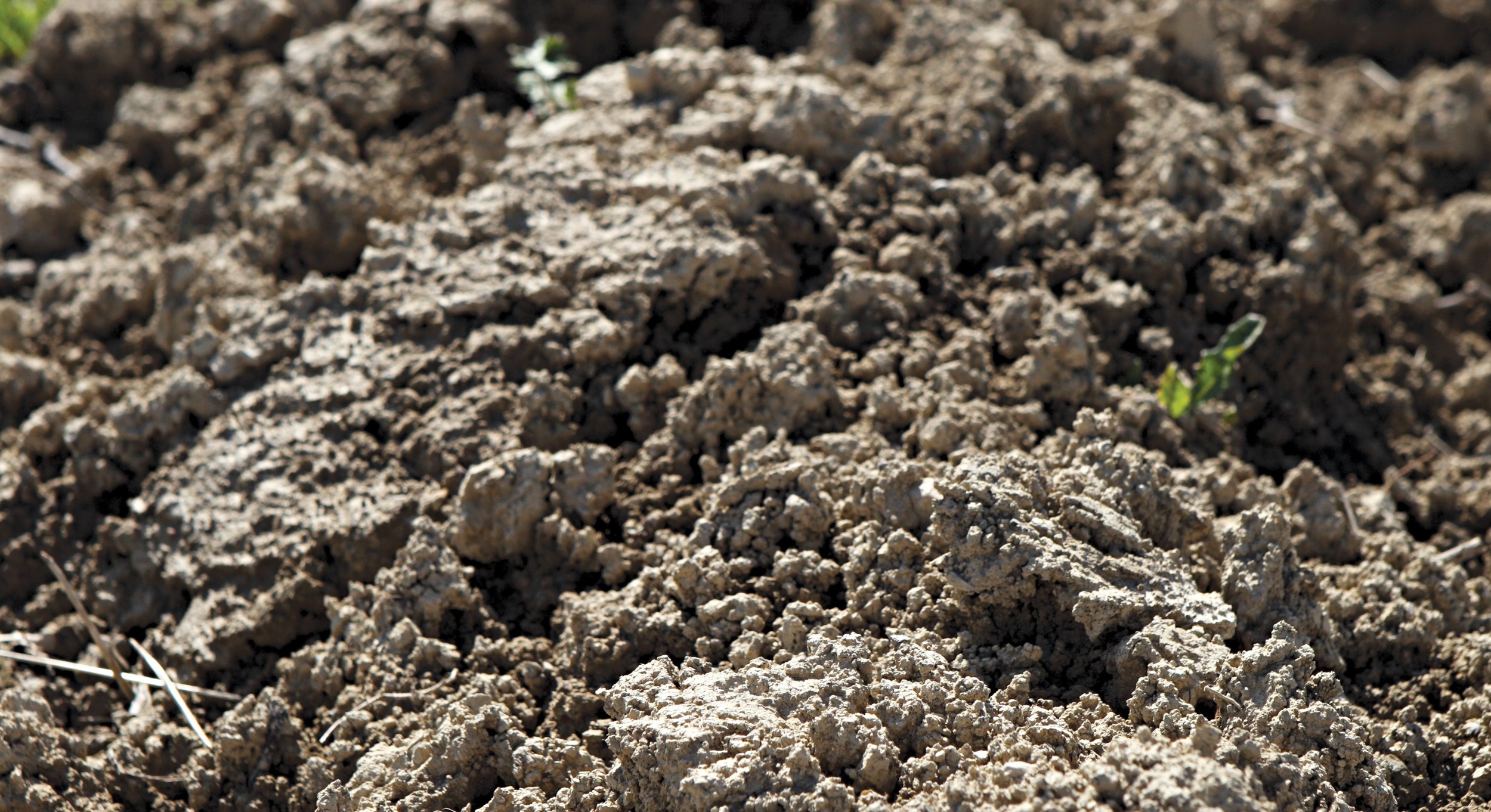  La terra   una composizione unica di argille che dona un’impronta inconfondibile al vino  